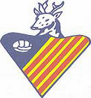 Escudo anterior de C.D. Cervelló