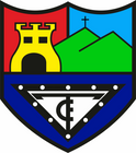 Escudo de Tolosa C.F.