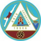 Escudo anterior de U.E. Tossa
