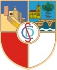 Escudo anterior de C.D. Solokoetxe