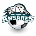 Escudo anterior de C.D. Ansares