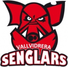 Escudo anterior de Vallvidrera Senglars C.F.