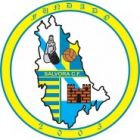 Escudo de C.F. Sálvora