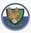 Escudo anterior de A.F. San Andrés