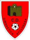 Escudo anterior de Gimnástica Ayllonesa
