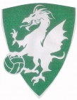 Escudo anterior de E.F. Los Pinos Moratalaz