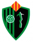 Escudo anterior de Catral-Castrum C.F.