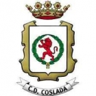 Escudo anterior de C.D. Coslada