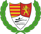 Escudo de U.D. Aragonesa