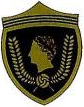 Escudo anterior de Sporting Caesaraugusta