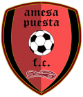 Escudo de C.D. Amesa Puesta