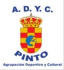 Escudo anterior de A.D.Y.C. Pinto
