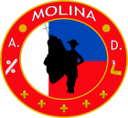 Escudo de A.D. Molina de Aragón