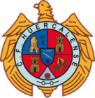 Escudo anterior de C.D. Ciudad de Vícar