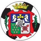 Escudo anterior de Lada Langreo C.F.
