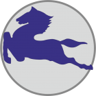 Escudo anterior de S.A.D. Galáctico Pegaso Tres Cantos