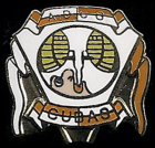 Escudo anterior de A.D. Cubas