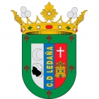 Escudo de C.D. E.F. Ledaña