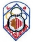 Escudo anterior de C.D. Cantolagua