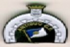 Escudo asociado a Antiguo C.F. B