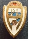 Escudo de Unión de La Arena