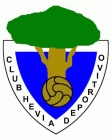 Escudo de C.D. Hevia