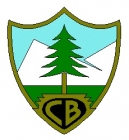 Escudo de Club Banesto