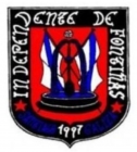 Escudo anterior de Estrela Vermelha F.G.