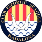 Escudo asociado a C.E. Seagull BDN