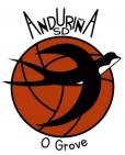 Escudo anterior de Anduriña S.D.