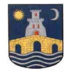 Escudo de Club Ribadavia