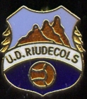 Escudo anterior de U.D. Riudecols