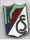 Escudo de Club Saltillo