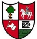 Escudo anterior de S.D. Zamudio