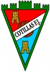 Escudo de Cotillas F.J.