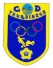 Escudo anterior de C.D. Txurdinaga