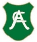 Escudo anterior de Abanto Club