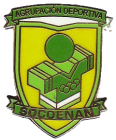 Escudo de A.D. Socoenan