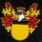 Escudo anterior de C.D. Subiza Cendea de Galar