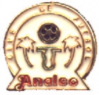 Escudo de C.F. Analco