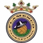 Escudo de Flamenco C.F.