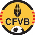Escudo asociado a C.F. Vall d'en Bas