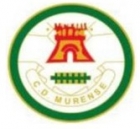 Escudo anterior de C.D. Murense
