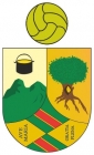 Escudo de C.F. Hoyo de Manzanares