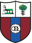 Escudo de C.D. Derio