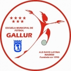 Escudo anterior de A.D. Rayo Latina