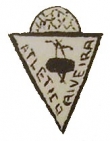 Escudo anterior de Cidade de Ribeira C.F.