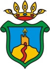 Escudo anterior de C.D. Salvatierra