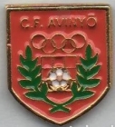 Escudo anterior de C.E. Avinyó