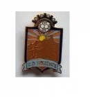 Escudo de C.D. Texedate